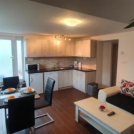 Apartmán Ribnikar *